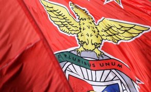 Benfica é o 25.º com mais receitas em 2023/24, Real Madrid supera 1.000 ME