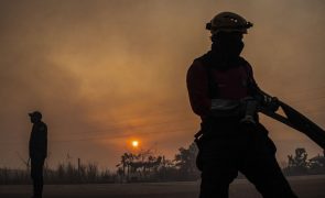 Seca e fogos fizeram degradação da Amazónia brasileira crescer quase 500% em 2024