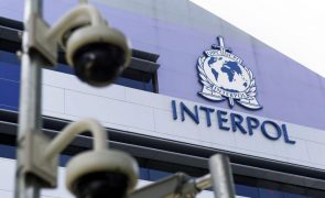 Interpol detém suposto terrorista de Moçambique numa operação  em oito países africanos