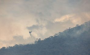 Austrália ordena retirada de cerca de 1.500 pessoas devido a incêndio florestal