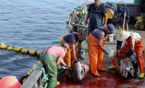 Comissão do Parlamento Europeu aprova acordo de pescas com Cabo Verde