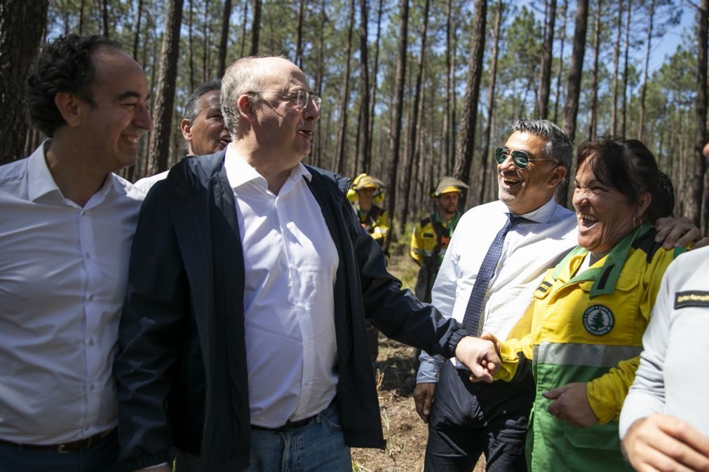 Operações integradas para gerir paisagem contra fogos têm 165 ME do PRR