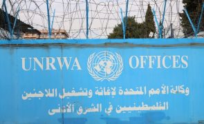 Trinta eurodeputados pedem a Guterres que encerre UNRWA