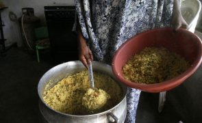 Programa Alimentar Mundial diz que insegurança alimentar desceu na Guiné-Bissau em 2024