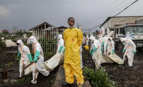 Combates em Goma causaram pelo menos 2.900 mortos - ONU