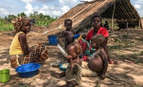 Cerca de 32 mil famílias em insegurança alimentar no centro de Moçambique