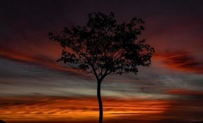 Previsão do tempo para quinta-feira, 13 de fevereiro