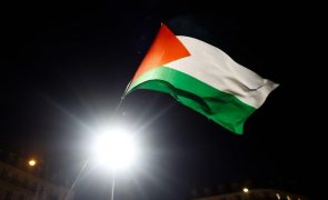 Mais de 30 personalidades pedem ao Governo que reconheça Estado da Palestina