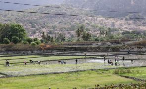 Timor-Leste e Nova Zelândia assinam acordo de mobilidade laboral em abril