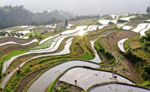 Cientistas advertem que China pode perder 35% das terras aráveis até 2100