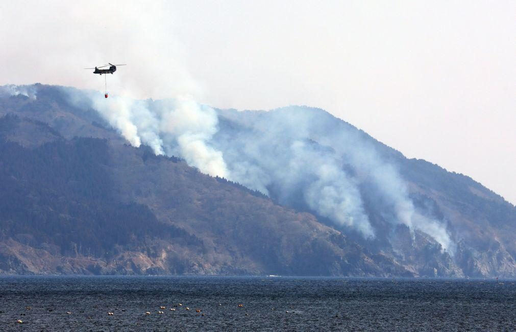 Nordeste do Japão devastado pelo pior incêndio florestal desde 1992