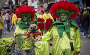 Madeira, Loulé e Torres Vedras foram os Carnavais do país que mais faturaram