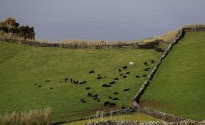 Sismo de 5,3 na escala de Richter sentido na ilha de São Miguel