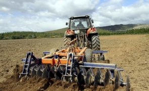 Preço da produção agrícola sobe na UE e recua em Portugal no 4.º trimestre de 2024