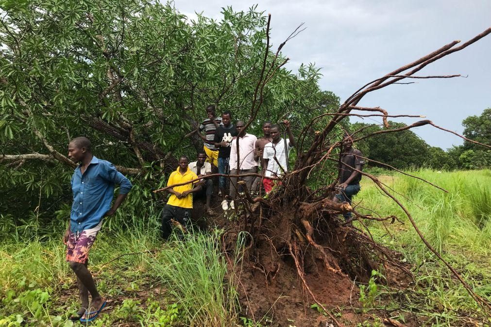 Sobe para 14 o número de mortos após passagem do ciclone Jude em Moçambique