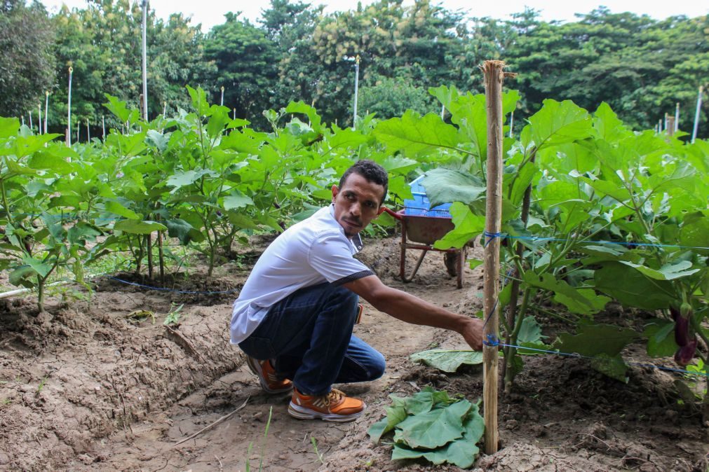 A horta de Almerindo em Timor-Leste pode ser regada de Portugal ou Inglaterra