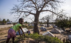 Agricultores abandonam campos em aldeia de Cabo Delgado receando terroristas