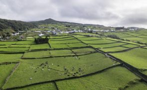 Depressão Martinho coloca grupos Central e Oriental dos Açores sob aviso amarelo