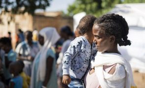 Cerca de 1,3 milhões de crianças nigerianas e etíopes enfrentarão risco agravado de fome