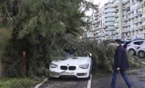 Doze distritos sob aviso laranja devido a vento, agitação marítima e neve