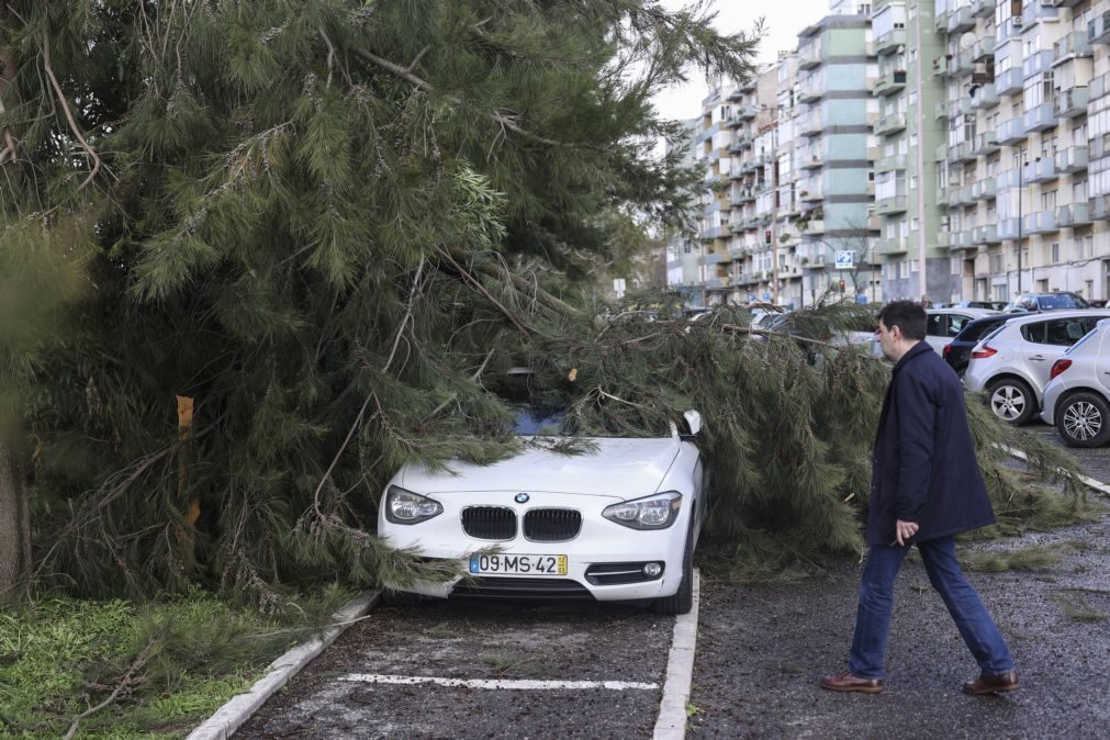 Doze distritos sob aviso laranja devido a vento, agitação marítima e neve