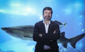 Dezenas de especialistas reúnem-se em Paris para preparar conferência dos oceanos de Nice