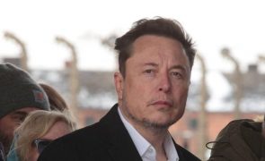 Musk considera 