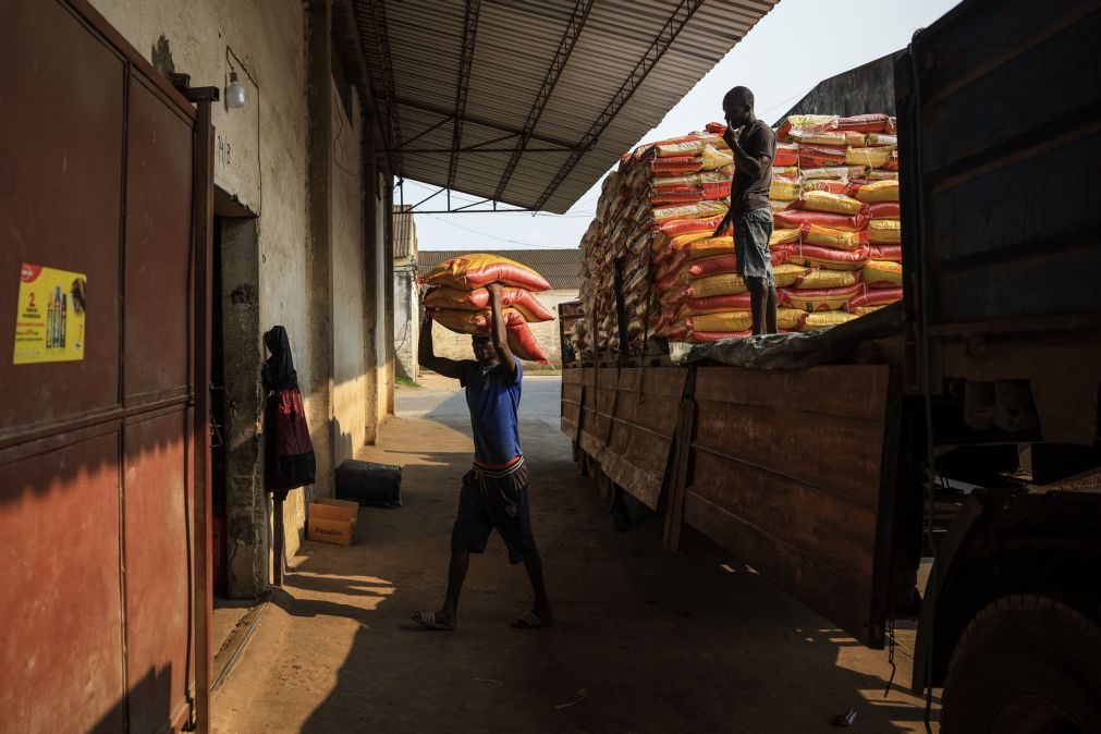 Governo prevê 300 mil ME para fazer Moçambique crescer a quase 10% ao ano até 2044