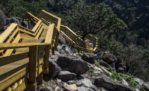 Passadiços de Arouca reabrem na extensão total após obras para recuperar dos fogos