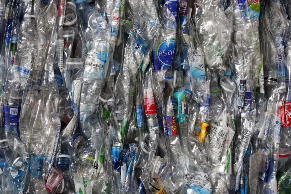 Nível de microplásticos no ambiente pode ser 3 vezes superior em 2060 do que em 2019