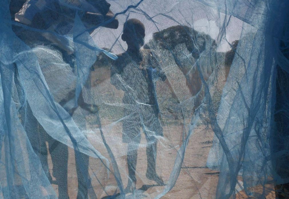 World Vision prevê distribuição de cerca de 4,5 milhões de mosquiteiros em Angola