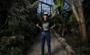 Curtas-metragens de Inês Nunes, Gabriel Abrantes e Laura Anahory escolhidas para Cannes