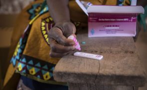 Malária matou quase 360 pessoas em Moçambique em 2024