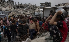 Programa Alimentar Mundial esgotou todos os seus 'stocks' em Gaza