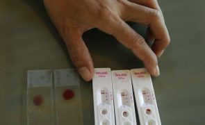 Malária matou 31 angolanos por dia em 2024