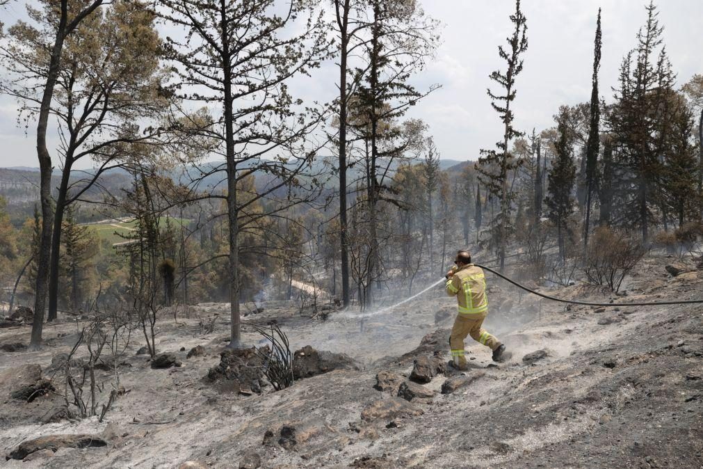 Incêndio nos arredores de Jerusalém está parcialmente sob controlo