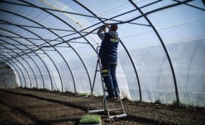Desemprego recua na zona euro e na UE em março