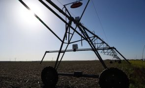 Portugal esgota hoje os recursos naturais que tinha para todo o ano