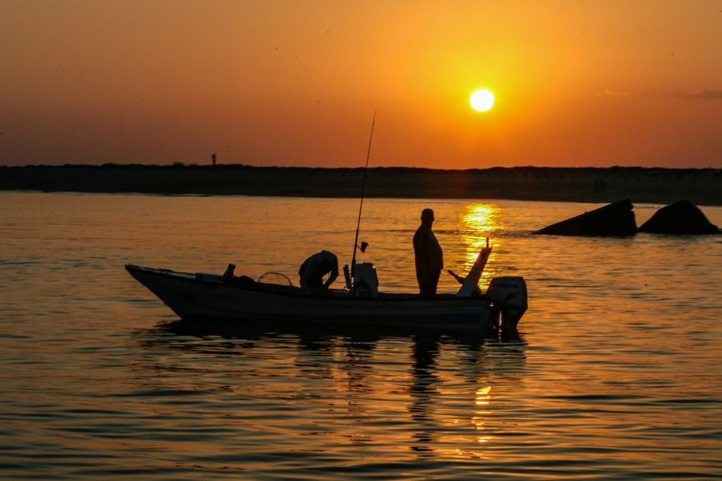 Paque Natural da Ria Formosa celebra 47 anos com dia aberto e atividades