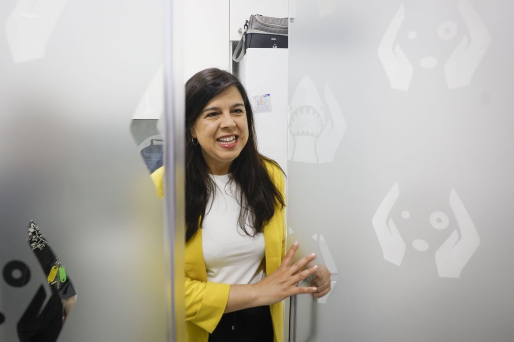 PAN diz que apelo de Montenegro para ciclo de oito anos assenta numa