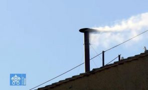 Fumo branco no Vaticano, Papa eleito