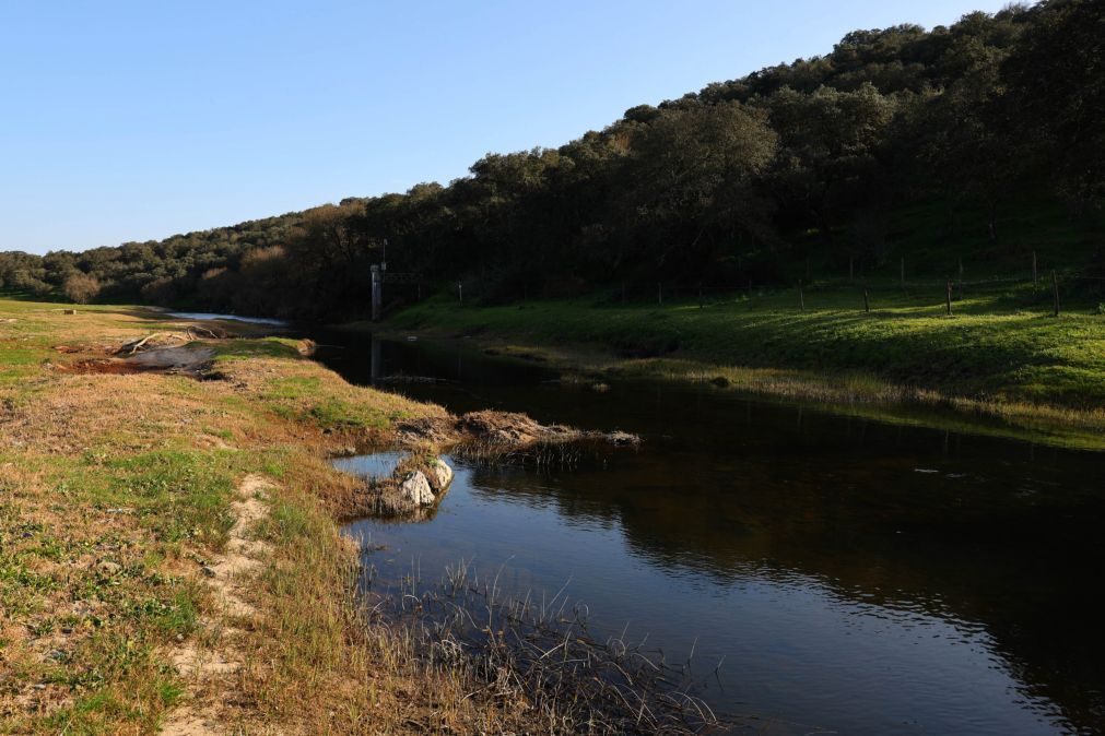 Ambientalistas ameaçam providência cautelar se começarem obras da Barragem do Pisão