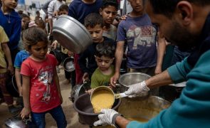 Médicos do Mundo acusa Israel de usar desnutrição aguda como arma de guerra