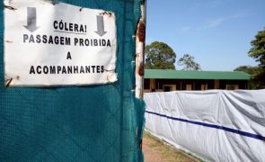 Seis mortos por cólera este mês num distrito da província moçambicana de Tete