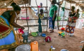 Moçambique, Guiné-Bissau e Timor-Leste com insegurança alimentar aguda em 2024