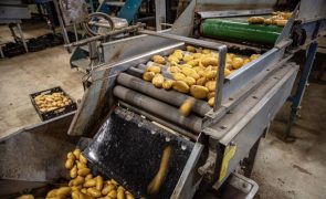 Excedente do comércio agroalimentar da UE abranda em janeiro para os 3 mil ME
