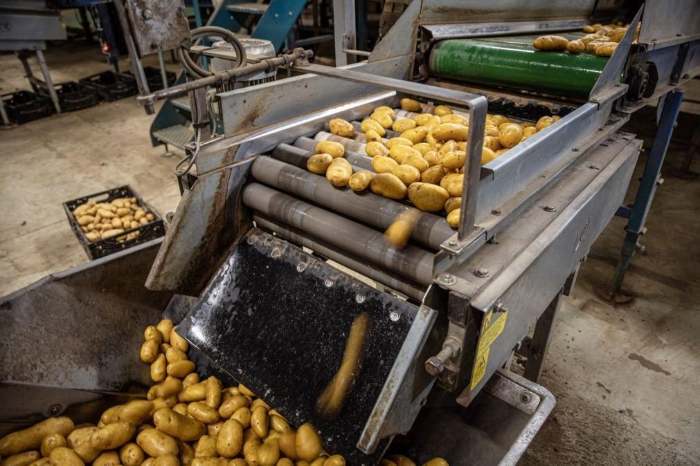 Excedente do comércio agroalimentar da UE abranda em janeiro para os 3 mil ME