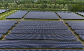 Petrolíferas investem mais de 31 ME para maior central fotovoltaica privada angolana