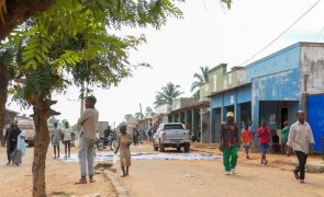 Pelo menos seis supostos terroristas abatidos em Cabo Delgado