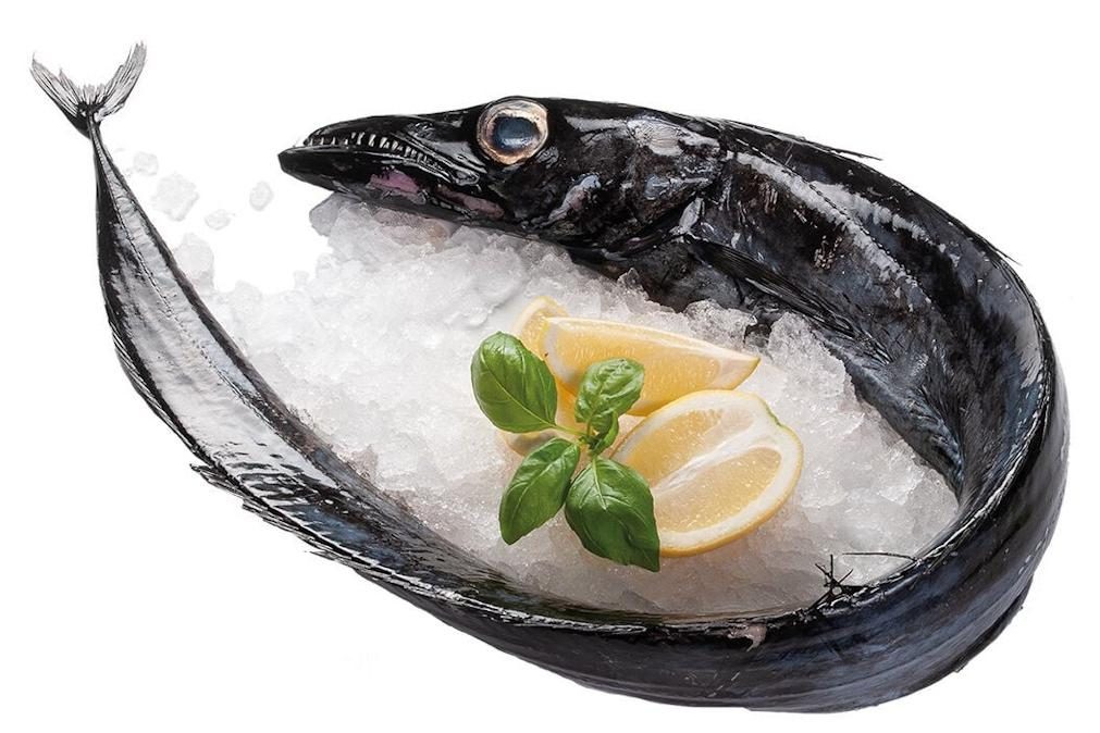 Por que desapareceu o peixe-espada das nossas peixarias
